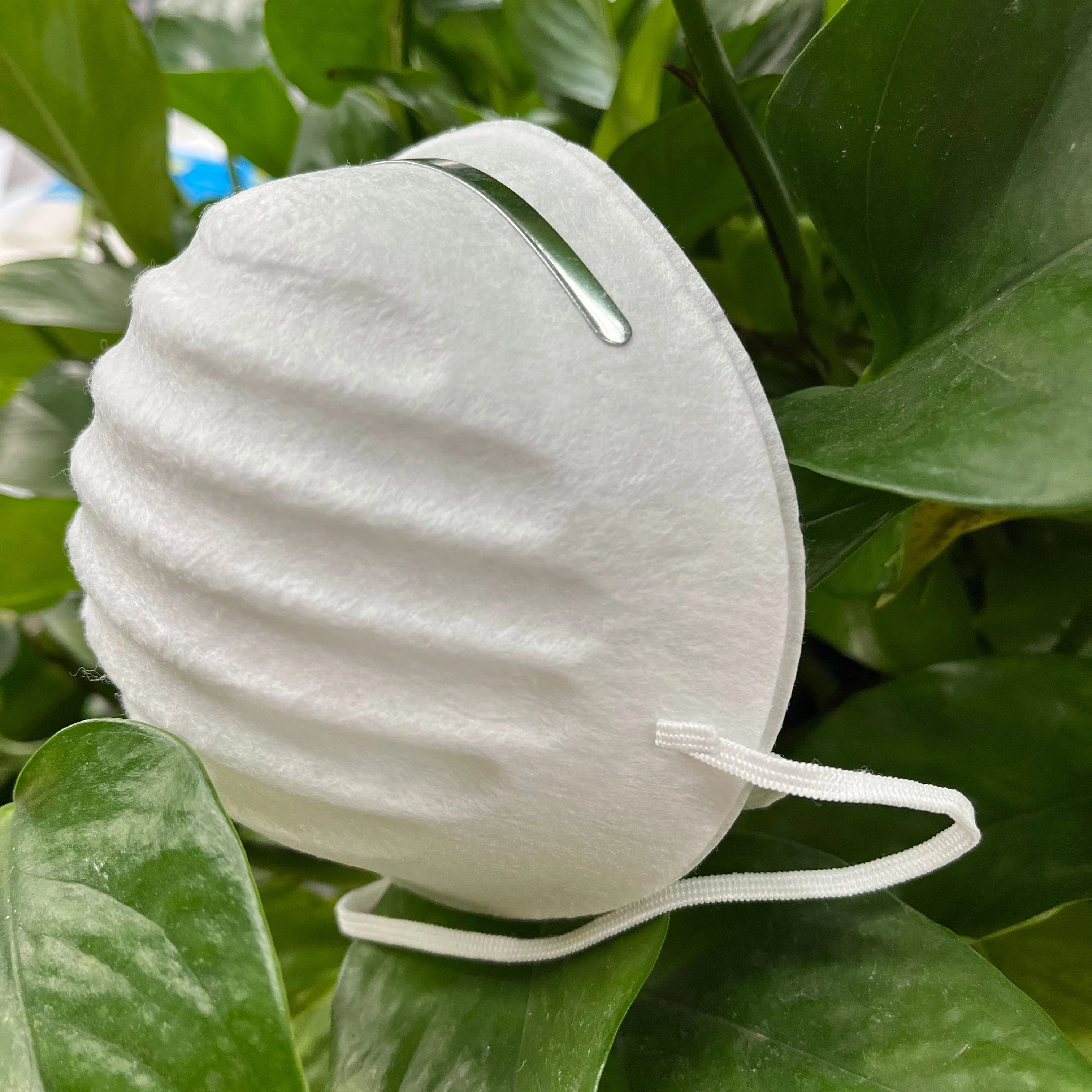 Disposable Dust Mask.